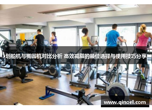 划船机与椭圆机对比分析 高效减脂的最佳选择与使用技巧分享