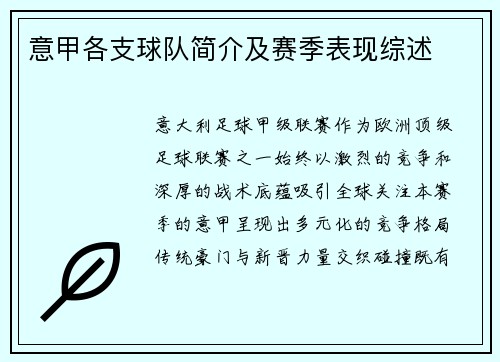 意甲各支球队简介及赛季表现综述