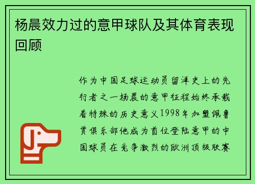 杨晨效力过的意甲球队及其体育表现回顾